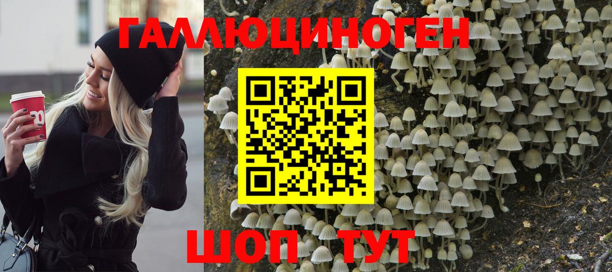 Галлюциногенные грибы Cubensis  Псилоцибиновые грибы мухоморы  Майский  Вход с VPN 